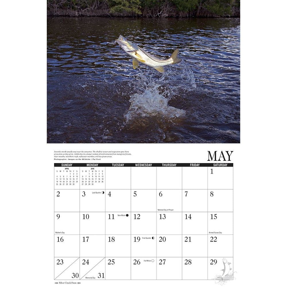 Saltwater Fly Fishing Wall Calendar
