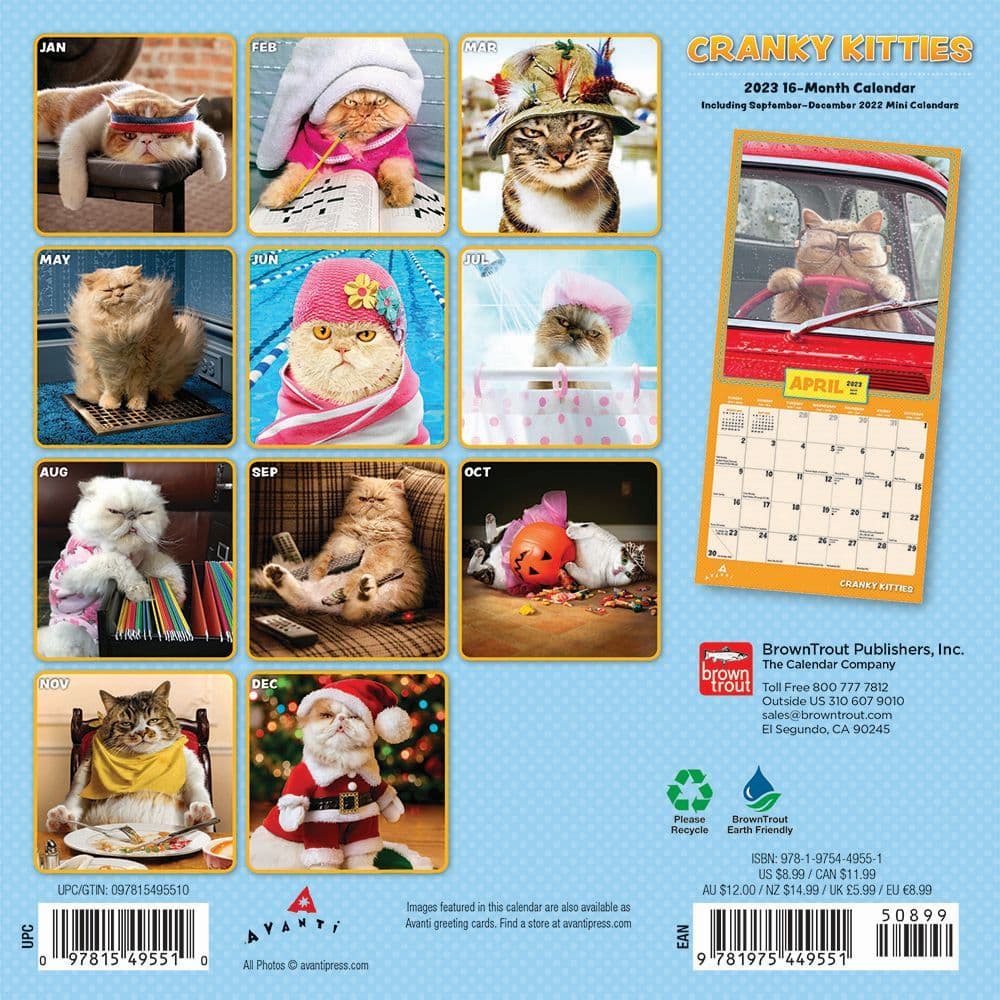 Cranky Kitties Avanti 2023 Mini Wall Calendar SV - Calendars.com