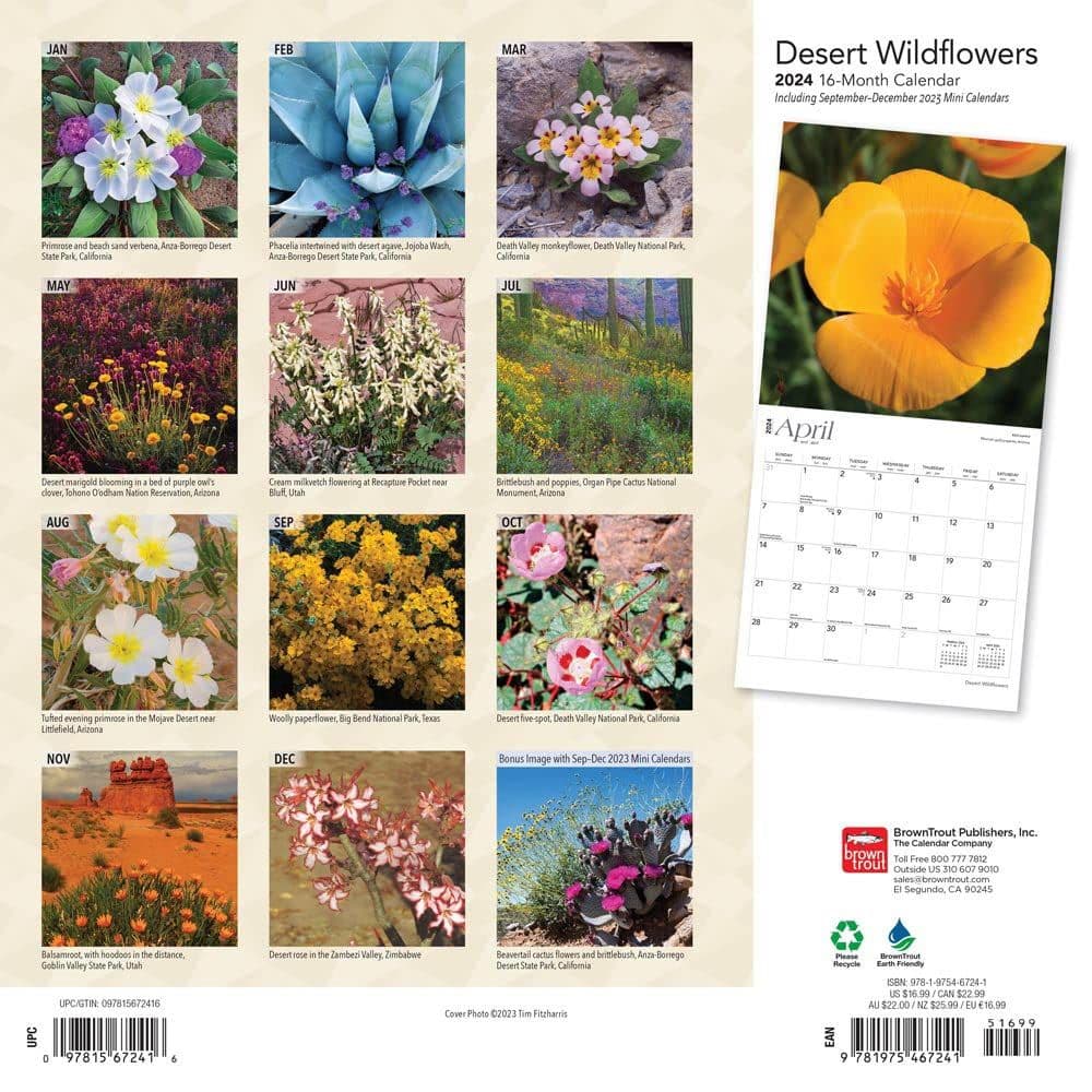 Desert Wildflowers 2024 Wall Calendar First Alternate Image width=&quot;1000&quot; height=&quot;1000&quot;