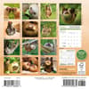 image Sloths 2025 Mini Wall Calendar First Alternate Image width="1000" height="1000"