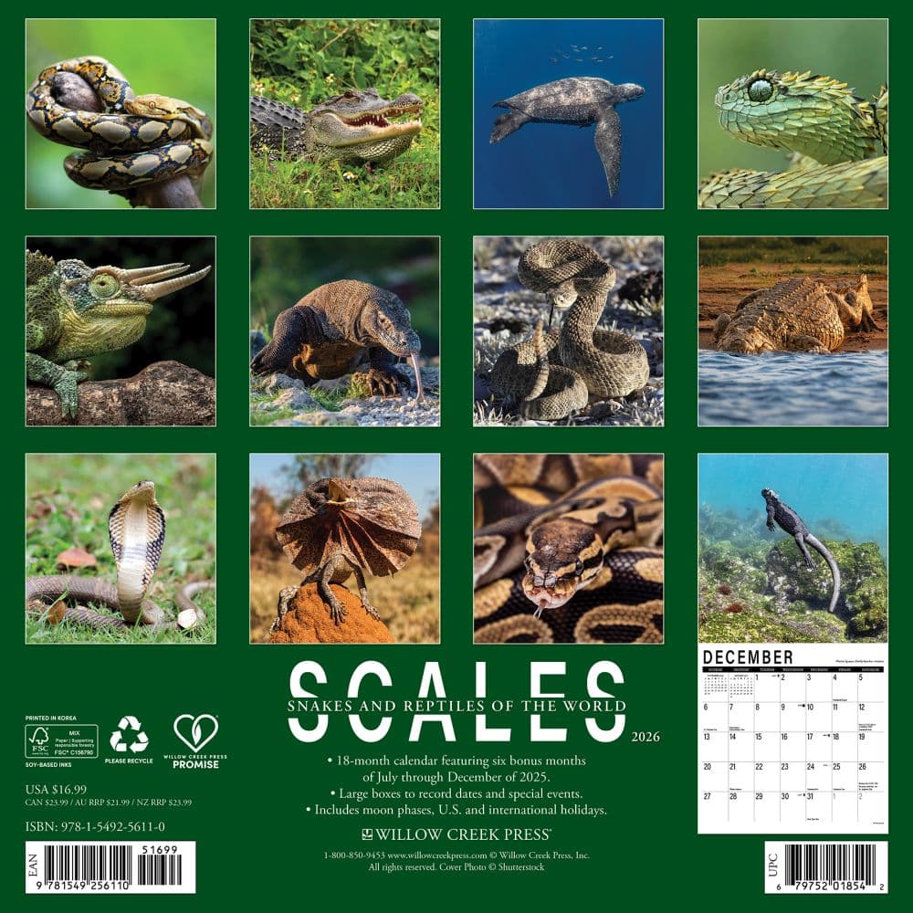 Scales 2026 Wall Calendar First Alternate Image