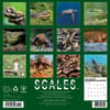 image Scales 2026 Wall Calendar First Alternate Image