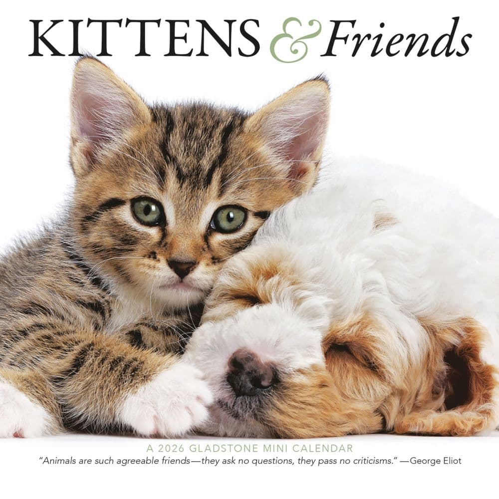 Kittens and Friends 2026 Mini Wall Calendar Main Image