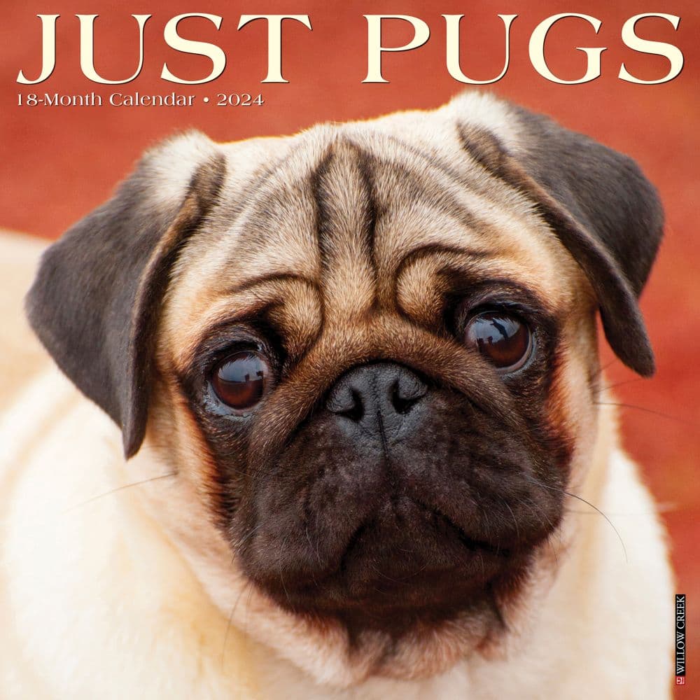 Just Pugs 2025 Wall Calendar