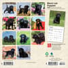 image Black Lab Puppies 2026 Mini Wall Calendar