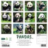 image Pandas 2026 Wall Calendar