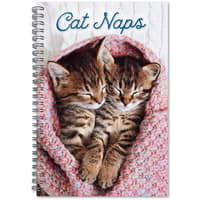 image Cat Naps Classic 2027 Engagement Planner Main Product Image