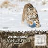 image Realtree Hunted Game 2025 Desk Calendar First Alternate Image