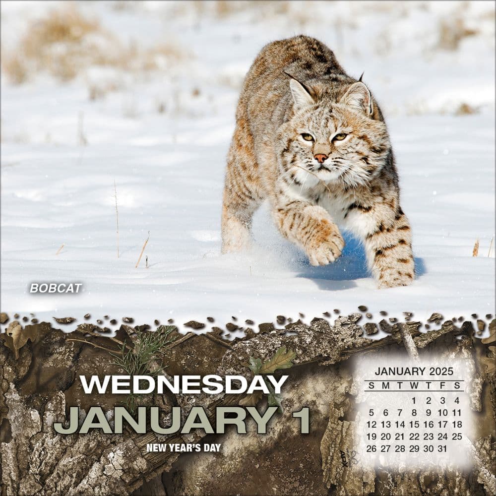 Realtree Hunted Game 2025 Desk Calendar First Alternate Image