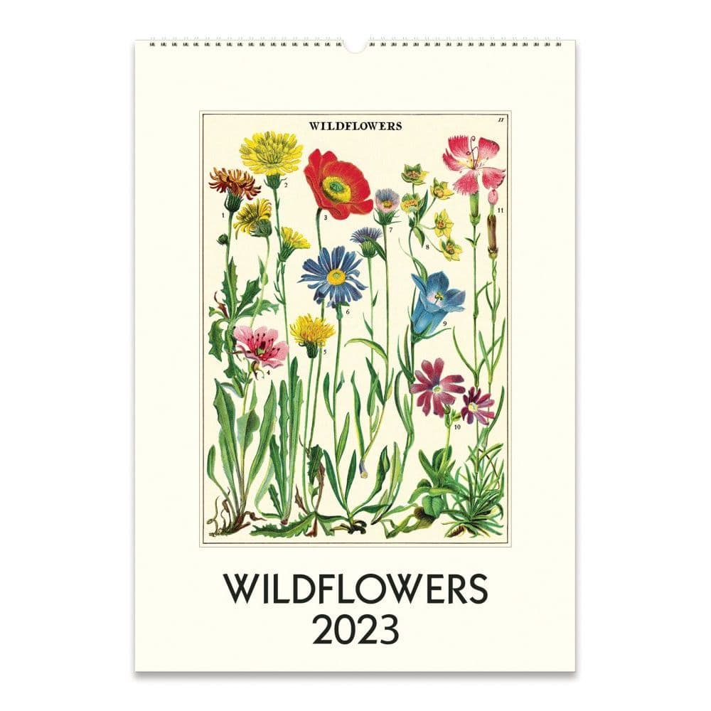 Cavallini Papers & Co. Wildflowers 2023 Poster Wall Calendar