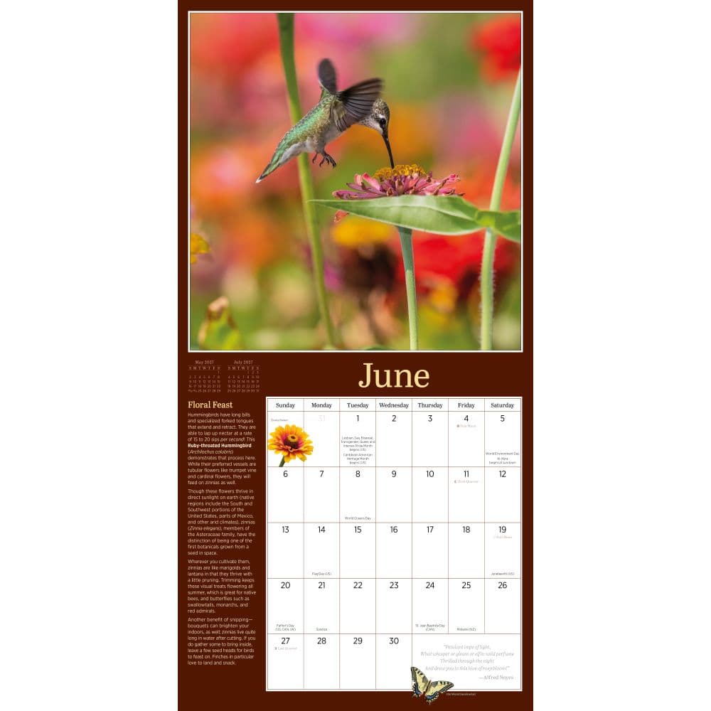 Audubon Birds in the Garden 2027 Wall Calendar Fourth Alternate Image