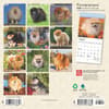 image Pomeranian 2025 Mini Wall Calendar