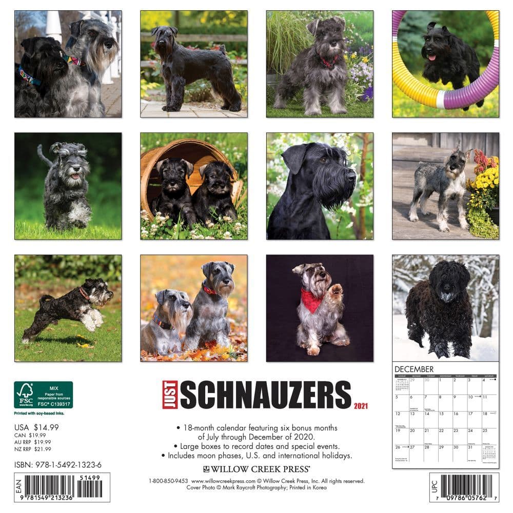 Just Schnauzers Wall Calendar