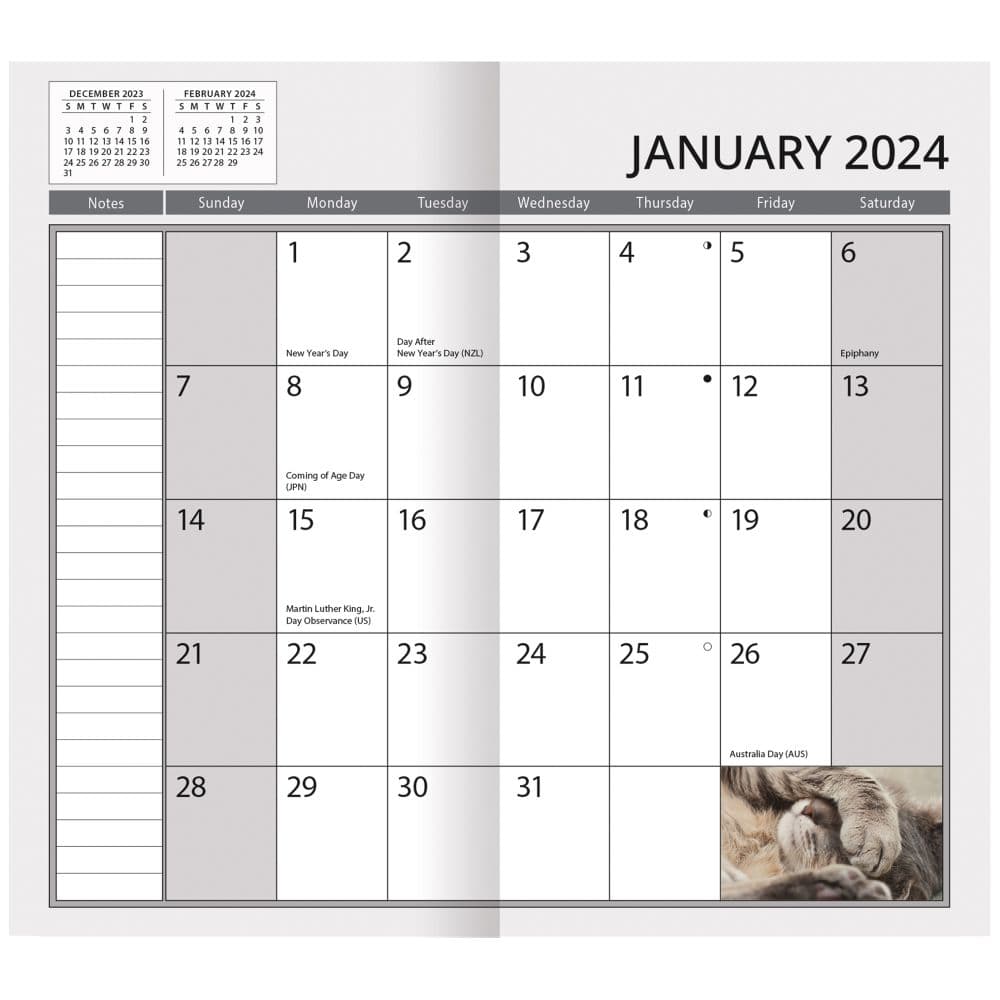 Cats 2 yr 2024 Pocket Planner - Calendars.com