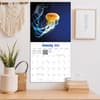 image Jellyfish Photo 2026 Wall Calendar