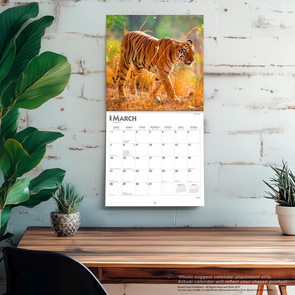 Tigers 2027 Wall Calendar Fourth Alternate Image