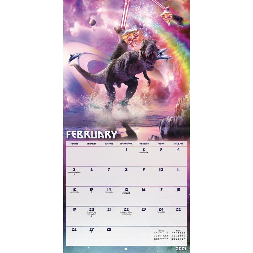 Random Galaxy Booker 2023 Wall Calendar