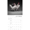image Glamour Chicks 2026 Wall Calendar Third Alternate Image