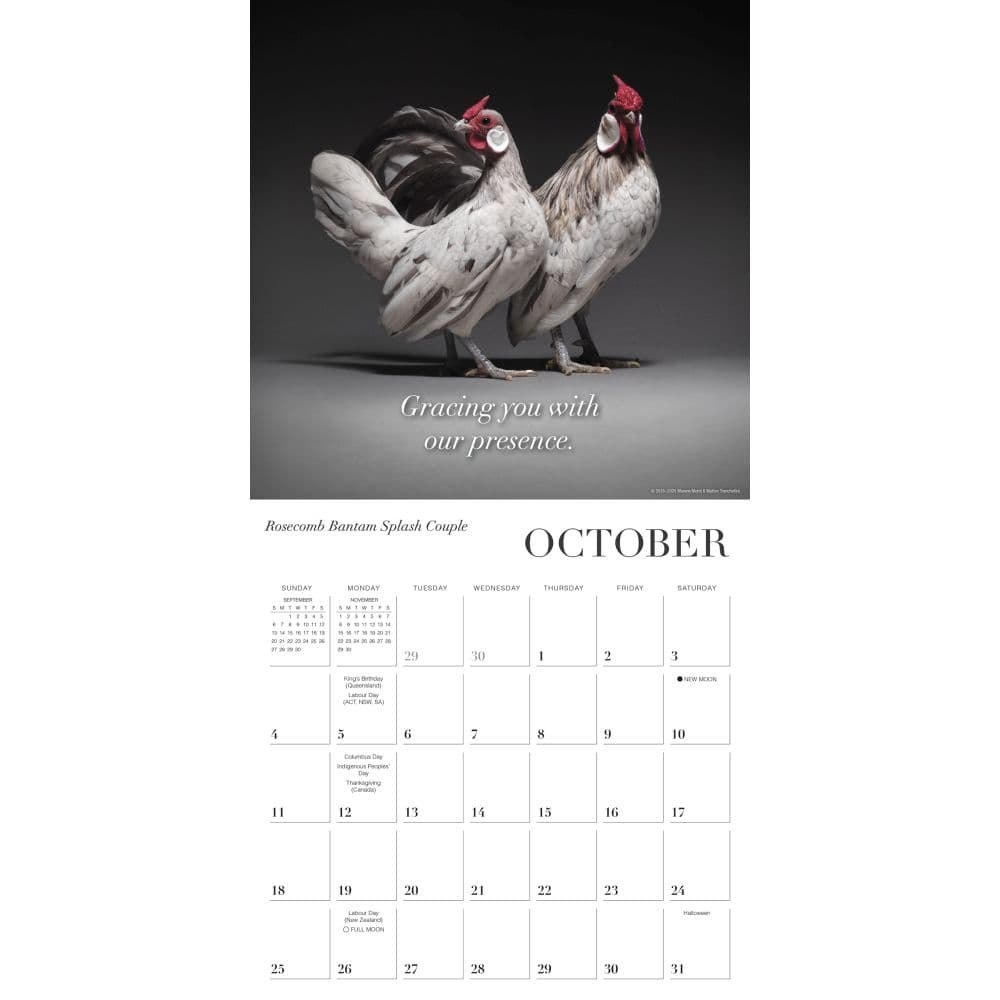 Glamour Chicks 2026 Wall Calendar Third Alternate Image