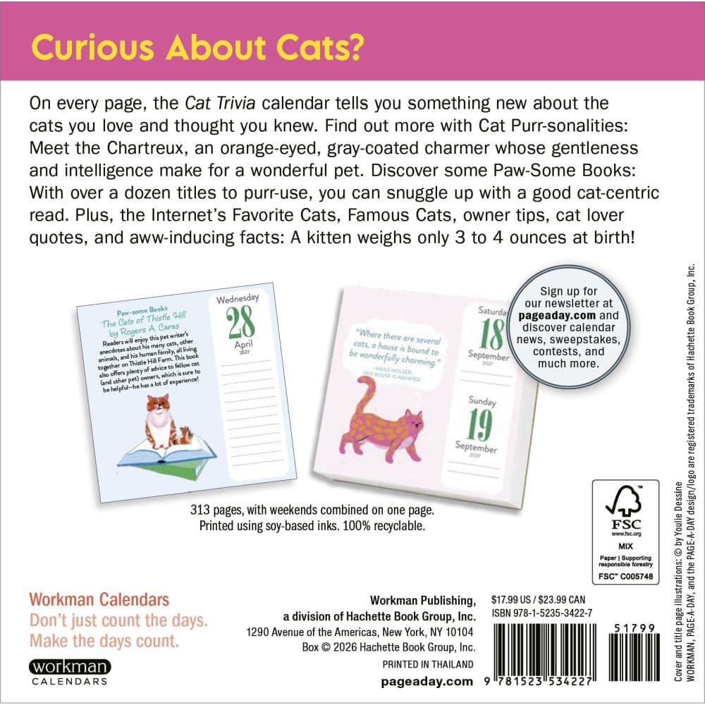 Cat Trivia 2027 Page-A-Day Desk Calendar First Alternate Image