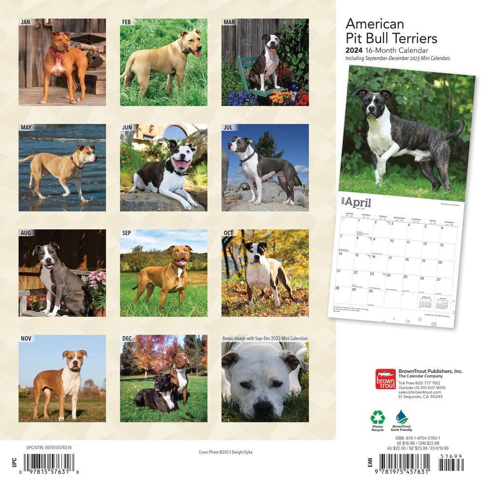 Pit Bull Terriers 2024 Wall Calendar - Calendars.com