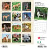 image Pit Bull Terriers 2024 Wall Calendar First Alternate Image width=&quot;1000&quot; height=&quot;1000&quot;