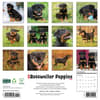 image Just Rottweiler Puppies 2026 Wall Calendar First Alternate Image