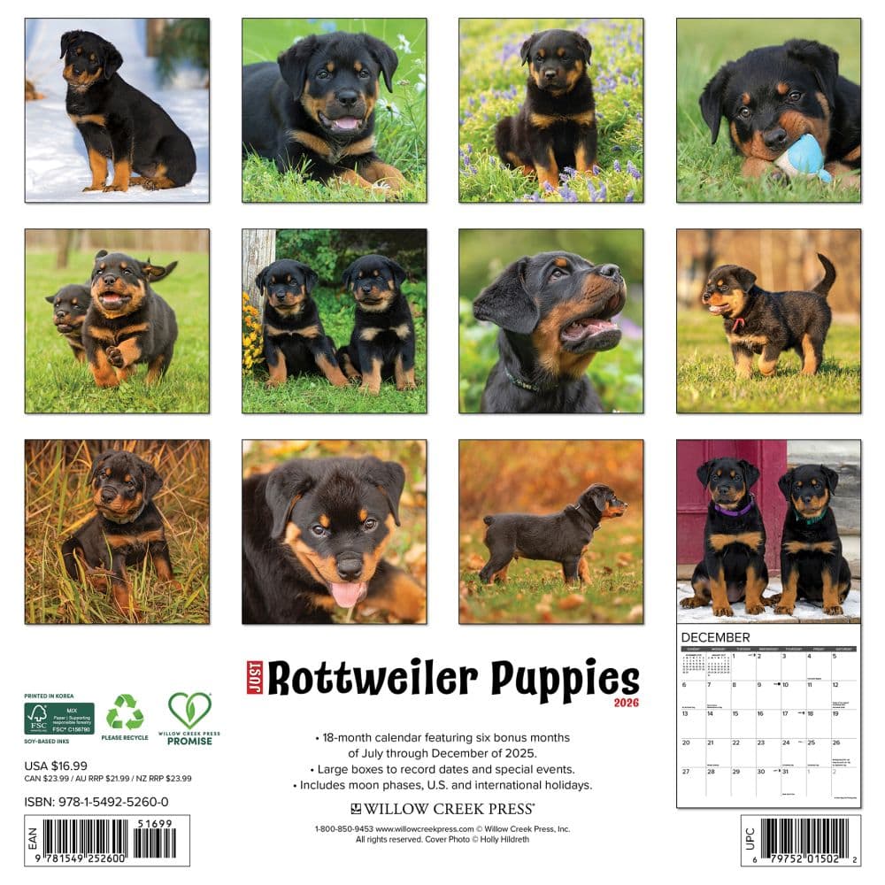Just Rottweiler Puppies 2026 Wall Calendar First Alternate Image