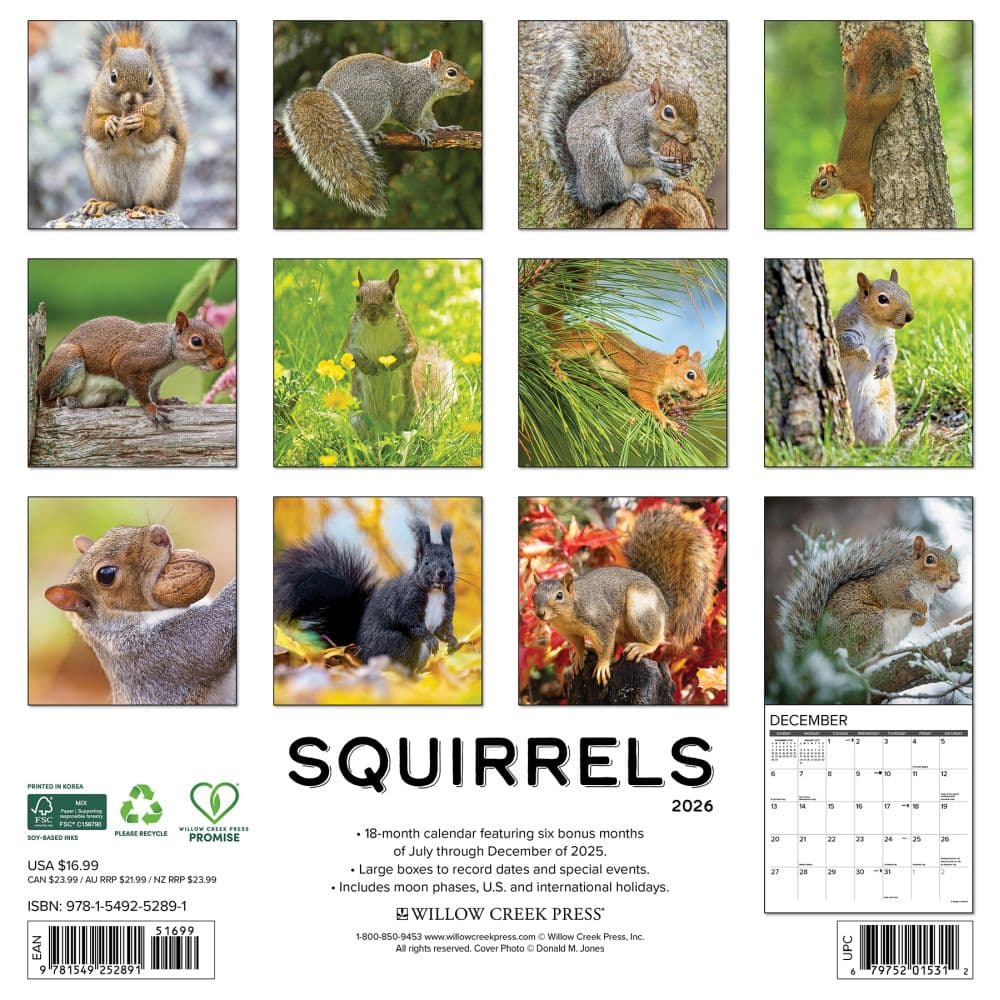 Squirrels 2026 Wall Calendar First Alternate Image