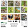 image Squirrels 2026 Wall Calendar First Alternate Image