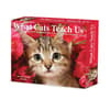 image What Cats Teach Us 2025 Desk Calendar Main Product Image