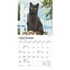 image Black Cats 2025 Mini Wall Calendar