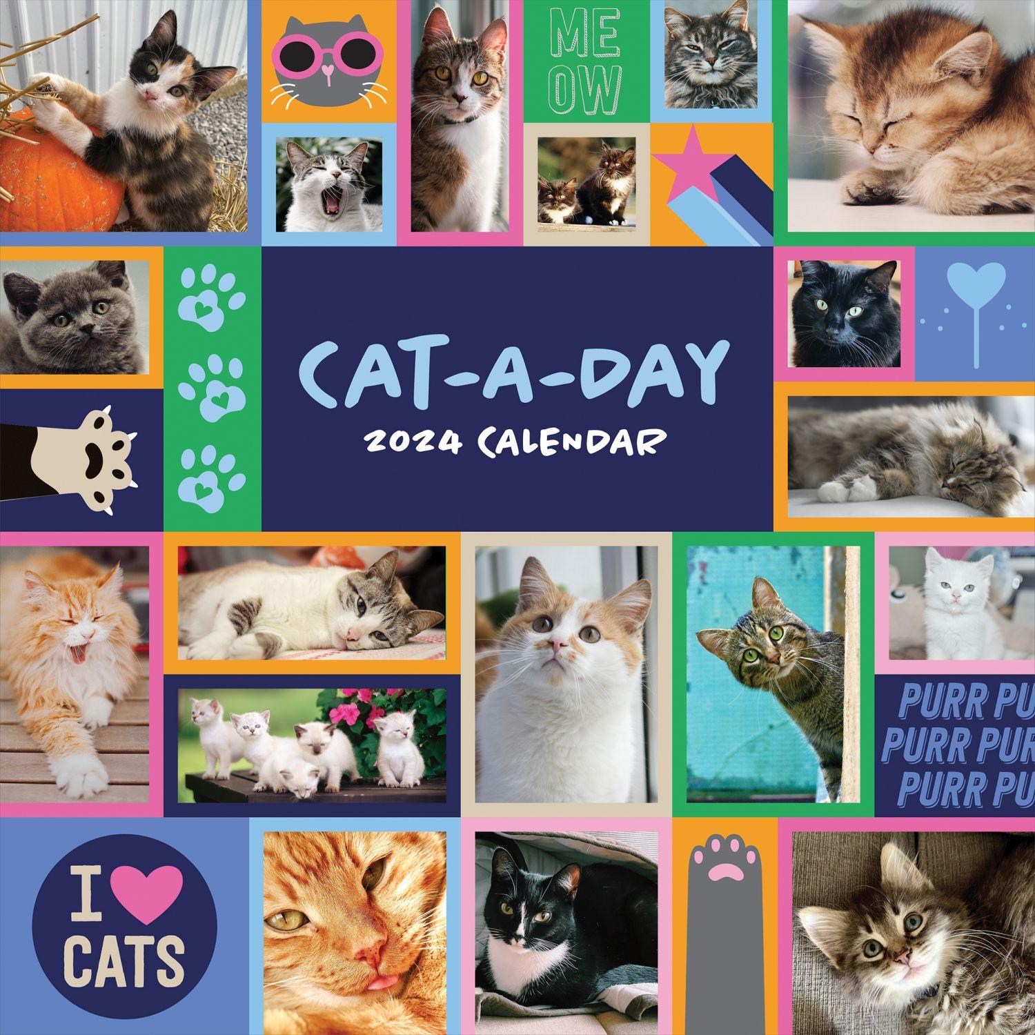 Cat a day 2024 wall calendar - calendars.com