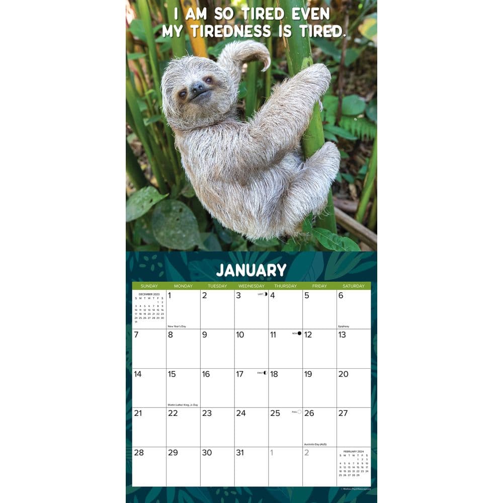 Sloth 2024 Calendar Week Calendar Idalia Gwendolin