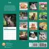 image Cats 2025 Wall Calendar First Alternate Image width="1000" height="1000"