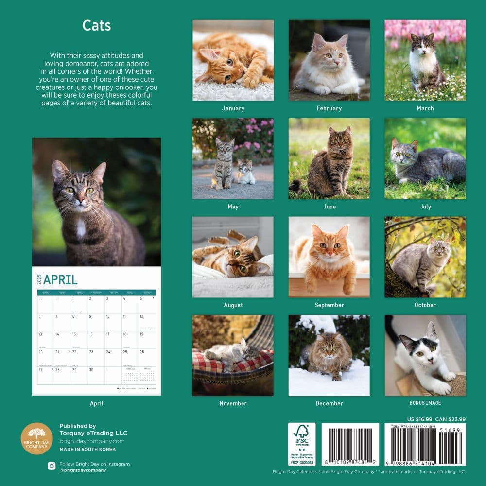 Cats 2025 Wall Calendar First Alternate Image width="1000" height="1000"