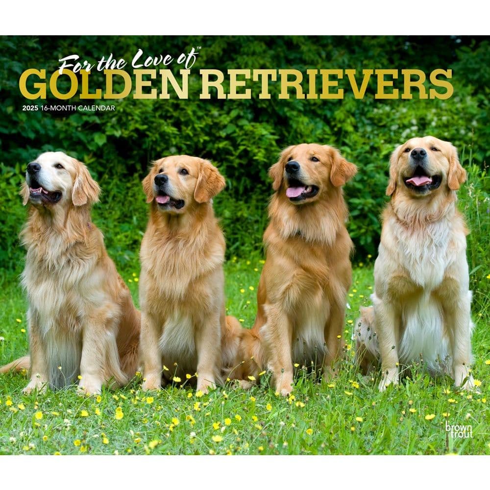 Golden Retrievers Deluxe 2025 Wall Calendar - Calendars.com