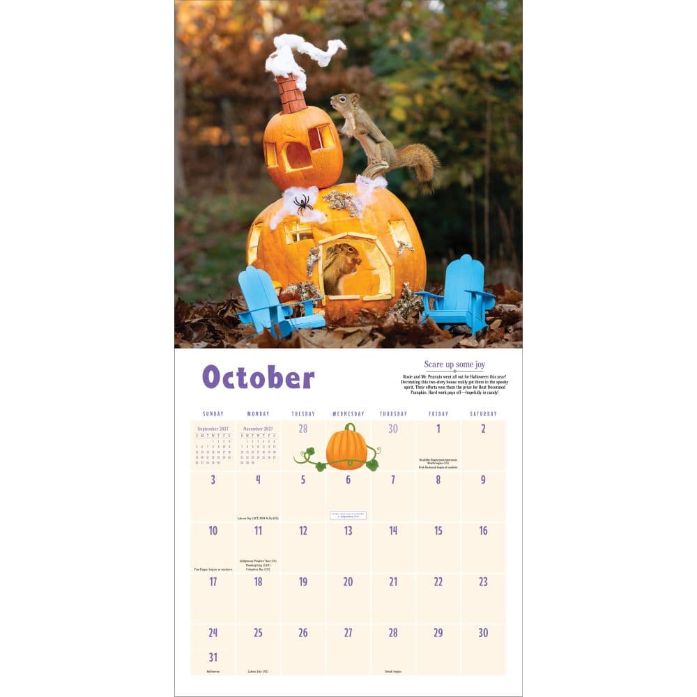Secret Life of Squirrels 2027 Wall Calendar Fourth Alternate Image