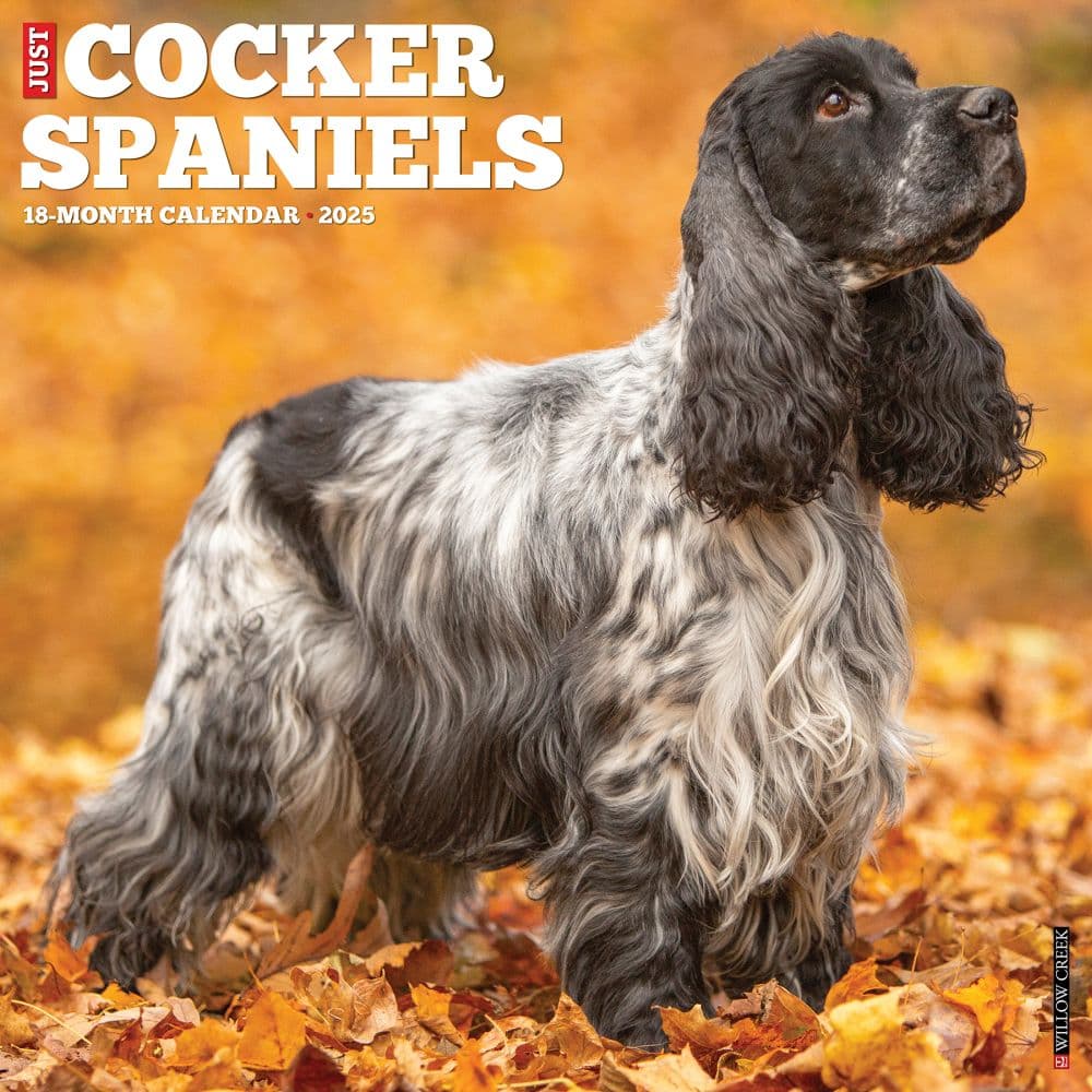 Clumber Spaniel Calendar 2025