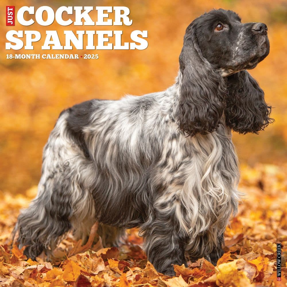 Just Cocker Spaniels 2025 Wall Calendar Main Image