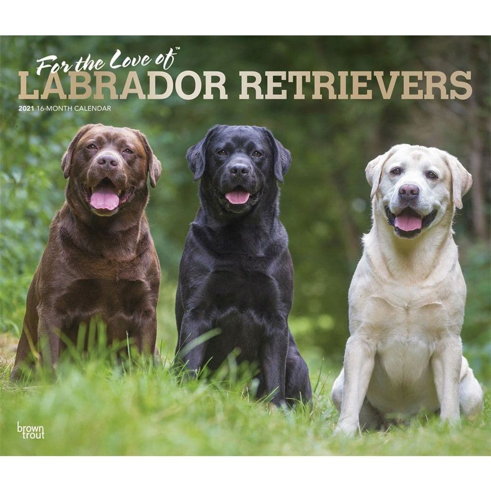 Lab Retriever Deluxe Wall Calendar