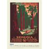 image National Parks Poster Art WPA 2025 Wall Calendar