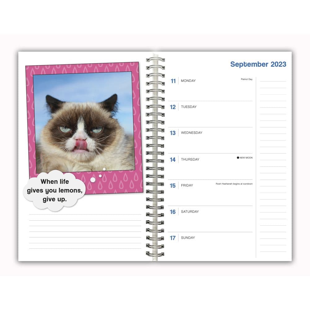 Keep Calm And Stay Grumpy 2024 Planner Second Alternate Image width=&quot;1000&quot; height=&quot;1000&quot;