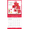 image Exotic Orchids 2027 Spiral Wall Calendar Second Alternate Image