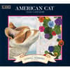 image American Cat 2024 Wall Calendar Main Image
