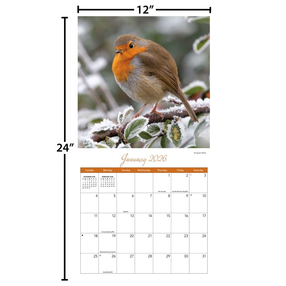 Songbirds 2026 Wall Calendar_ALT5