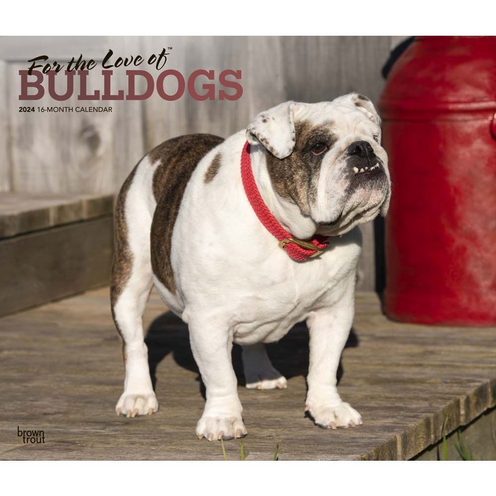 Bulldogs Deluxe 2024 Wall Calendar -  Browntrout, 097815685690