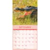 image Wildlife Special Value 2026 Wall Calendar Third Alternate Image