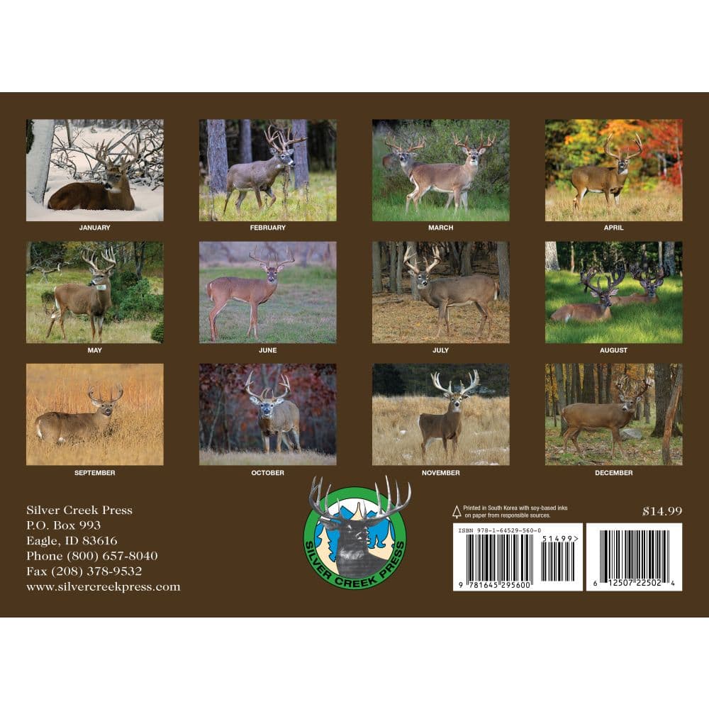 Whitetail Deer 2025 Wall Calendar Alt1