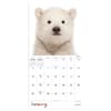 image Baby Animals 2025 Mini Wall Calendar January